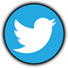 A circular light blue twitter share button